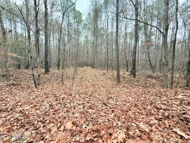 $109,500 | Firetower Road, Camden, MS 39045