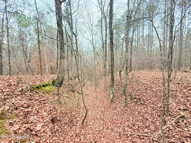 $109,500 | Firetower Road, Camden, MS 39045