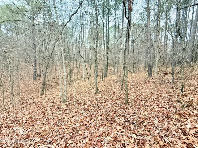 $109,500 | Firetower Road, Camden, MS 39045