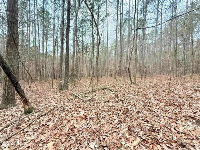 $109,500 | Firetower Road, Camden, MS 39045