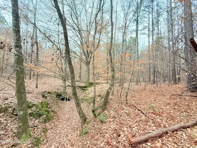 $109,500 | Firetower Road, Camden, MS 39045