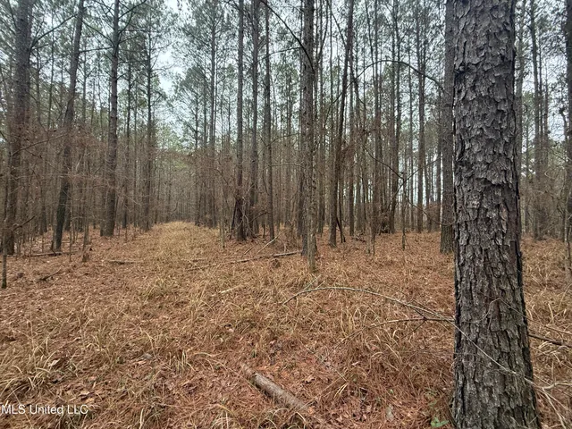 $109,500 | Firetower Road, Camden, MS 39045