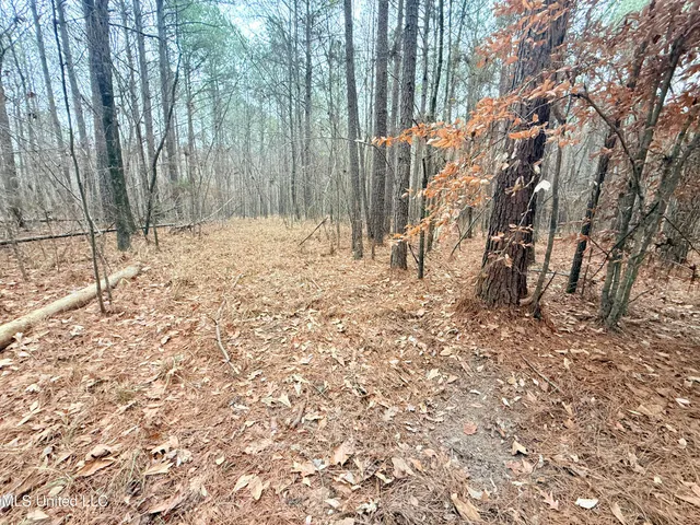 $109,500 | Firetower Road, Camden, MS 39045