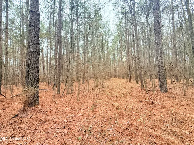 $109,500 | Firetower Road, Camden, MS 39045
