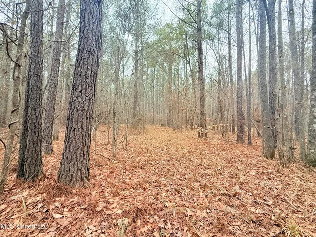 $109,500 | Firetower Road, Camden, MS 39045