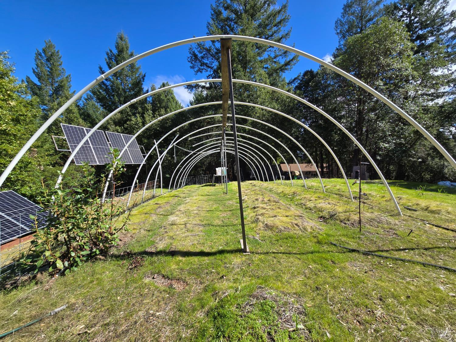 36193 Covelo Road Willits, CA 95490 - Photo 18 of 30 a view of swimming pool with a yard