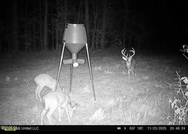1 Dry Grove Road Terry, MS 39170 - Photo 29 of 30 710