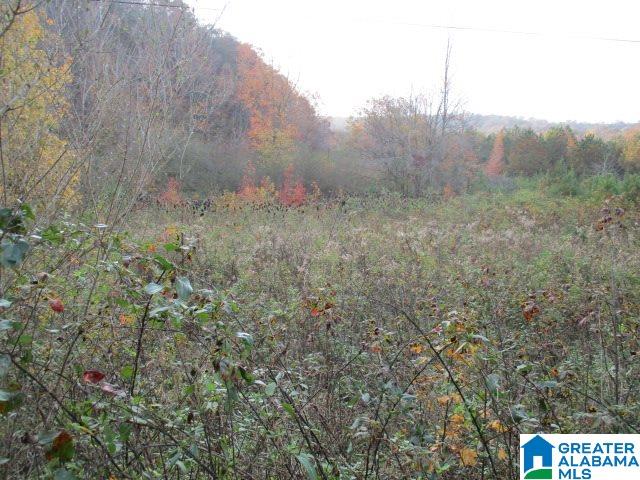 Smith Road, Unit 23 25 Oneonta, AL 35121 - Photo 5 of 5
