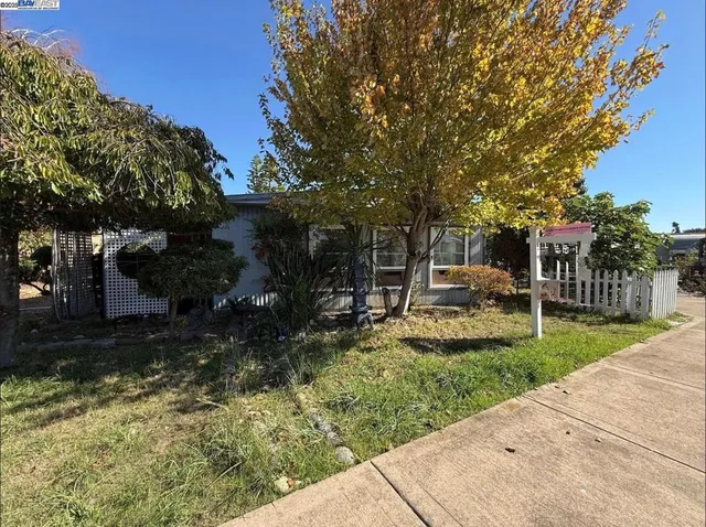 a view of a park with plants and trees