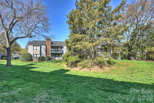 a view of a field with a tree