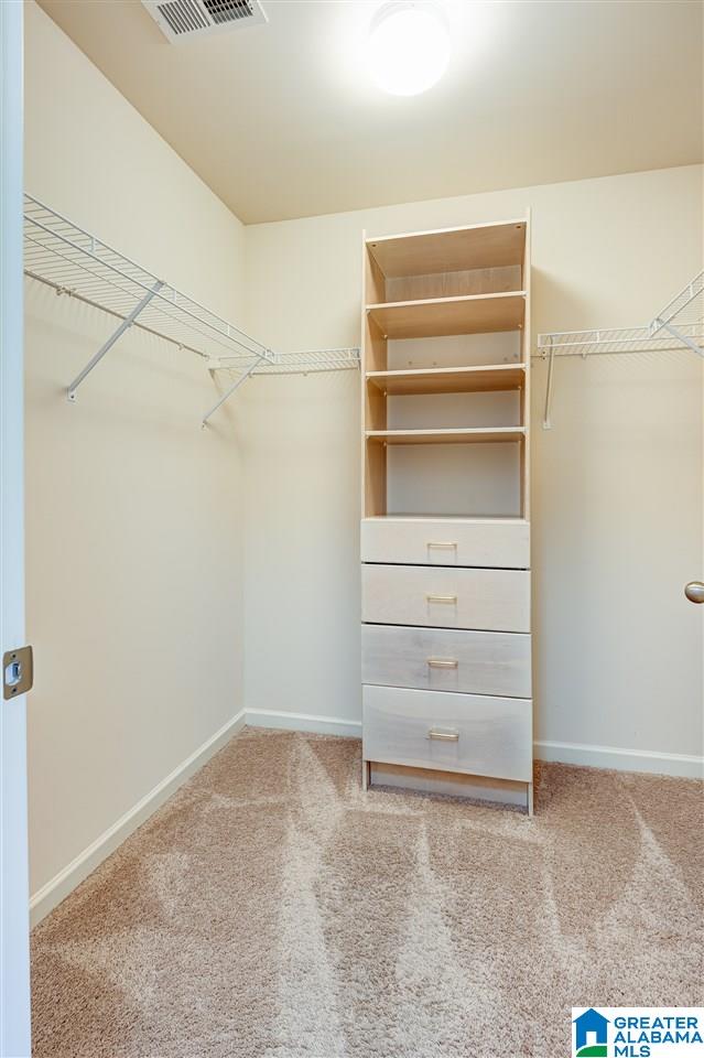 520 Chesser Reserve Way Chelsea, AL 35043 - Photo 21 of 33