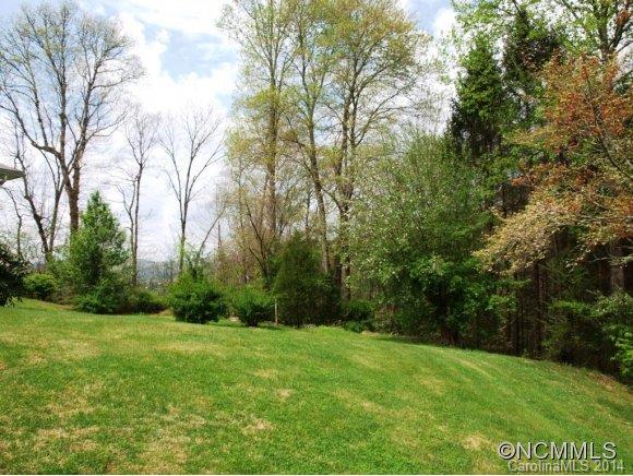 1067 Whitmire Road Brevard, NC 28712 - Photo 8 of 24 Gallery Image 8