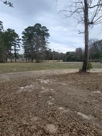 a view of outdoor space with trees all around