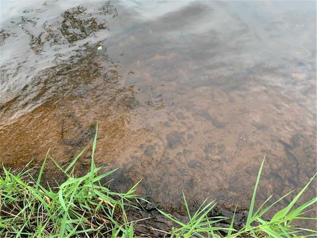 Xxx Chengwatana Road Pine City, MN 55063 - Photo 12 of 36