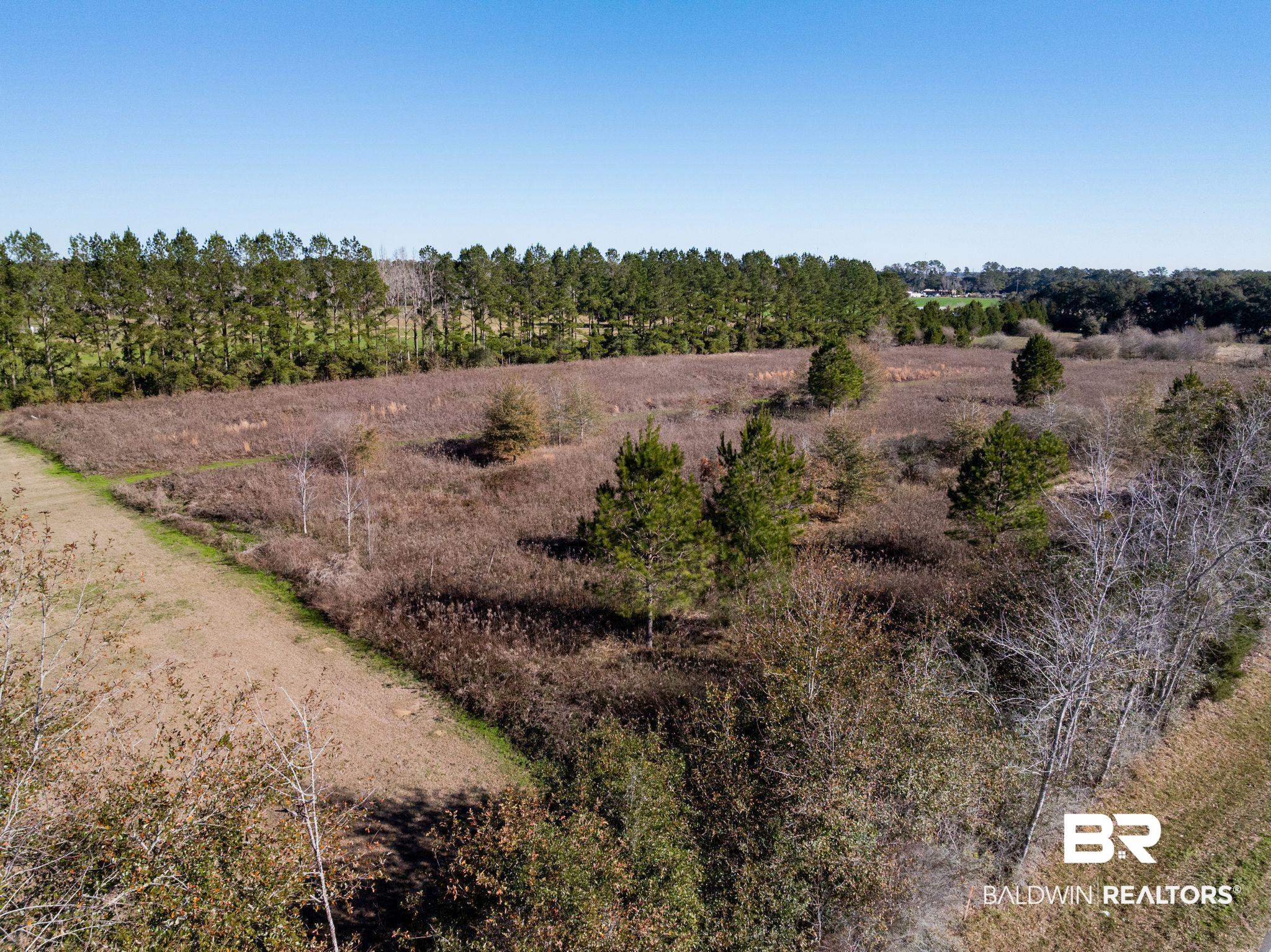 13609 White Road Silverhill, AL 36576 - Photo 9 of 27