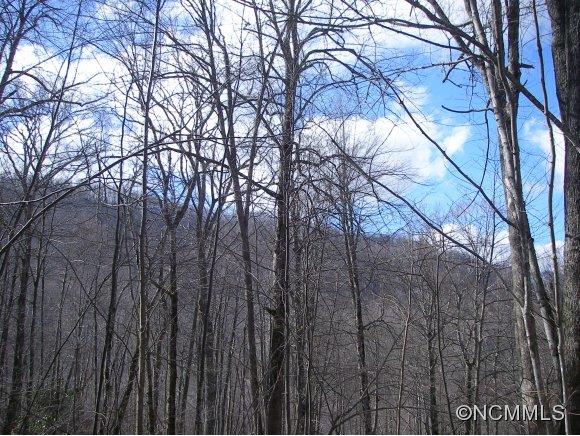 3 Traders Loop Maggie Valley, NC 28751 - Photo 4 of 19 Gallery Image 4