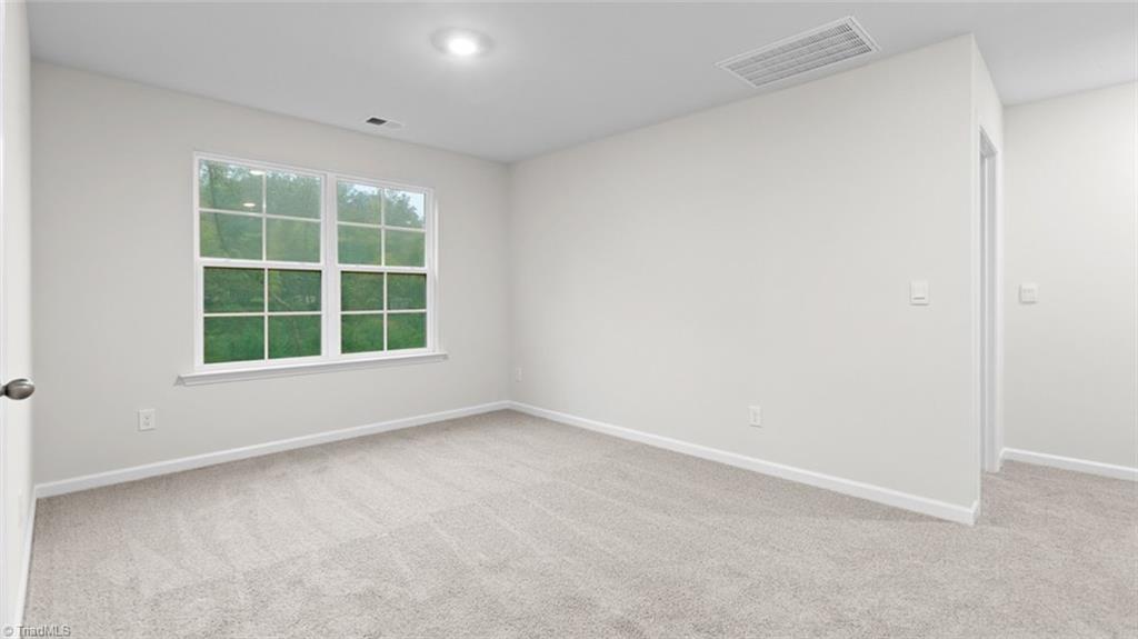 142 Pepper Tree Road Stokesdale, NC 27357 - Photo 15 of 29 REPRESENTATIVE PHOTO - NOT ACTUAL HOME