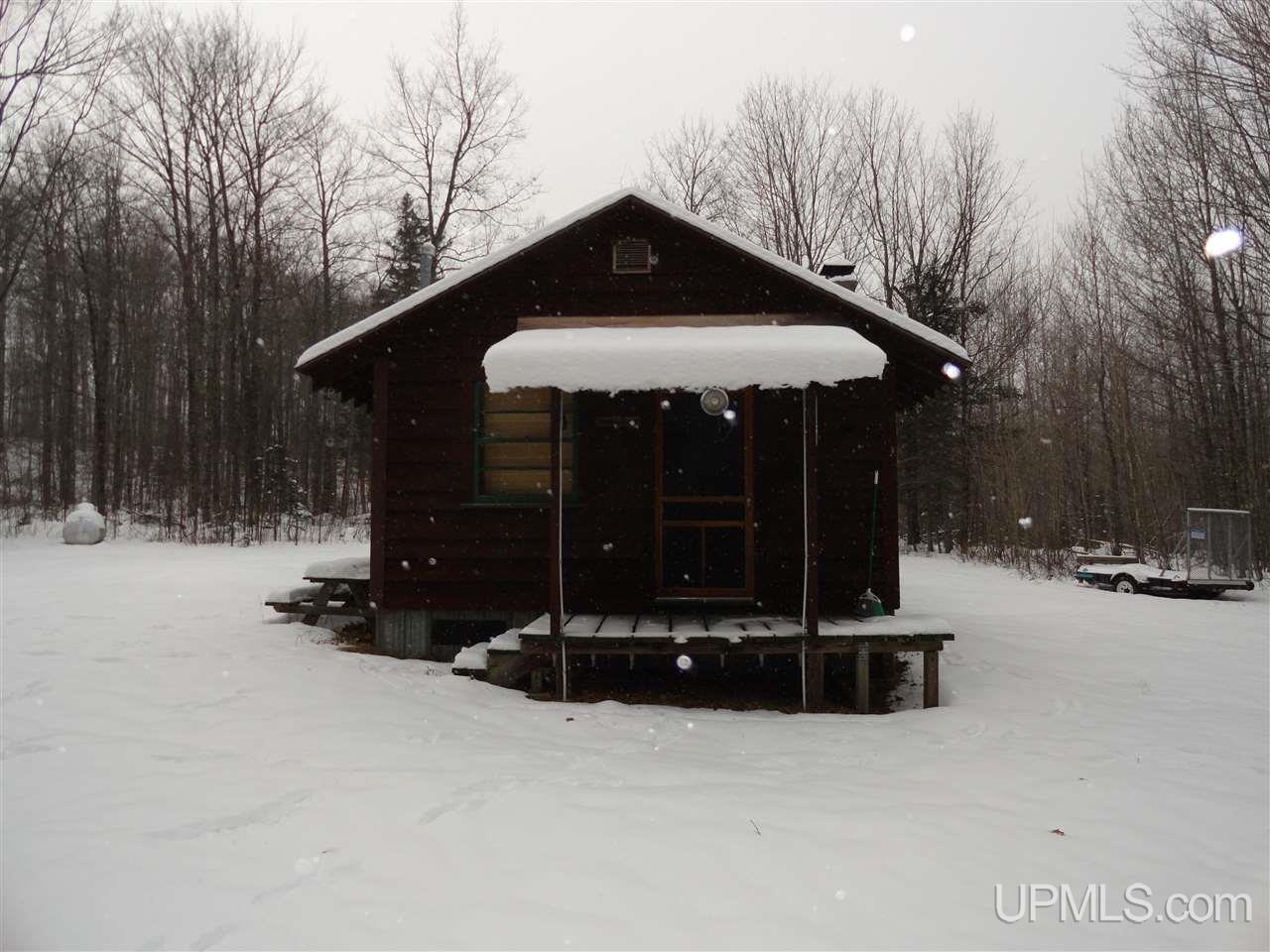 160-acres Off Co Rd 557 Arnold, MI 49819 - Photo 10 of 22
