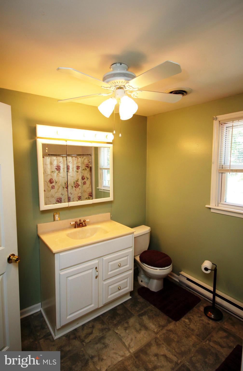 364 Nicholson Road Baltimore, MD 21221 - Photo 4 of 30 a bathroom with a sink and a mirror