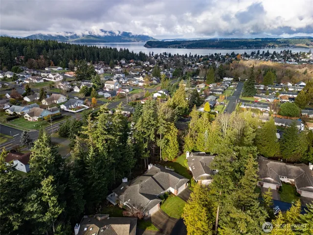 a city view with lake