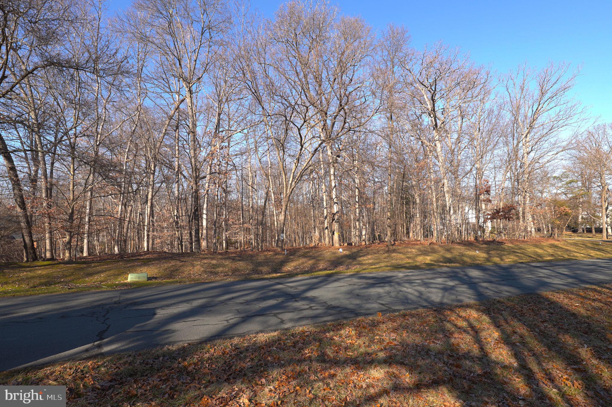 10604 Willowbrook Drive Potomac, MD 20854 - Photo 3 of 16