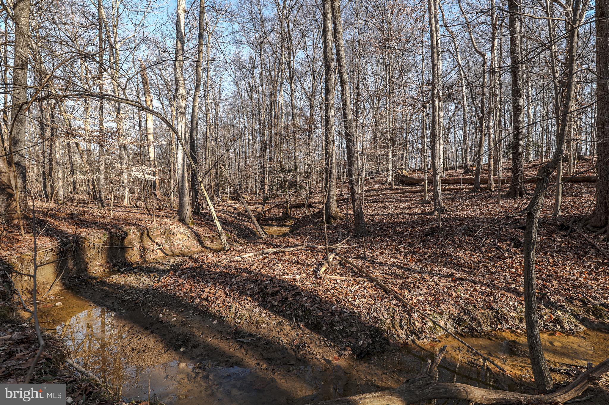 10604 Willowbrook Drive Potomac, MD 20854 - Photo 6 of 16