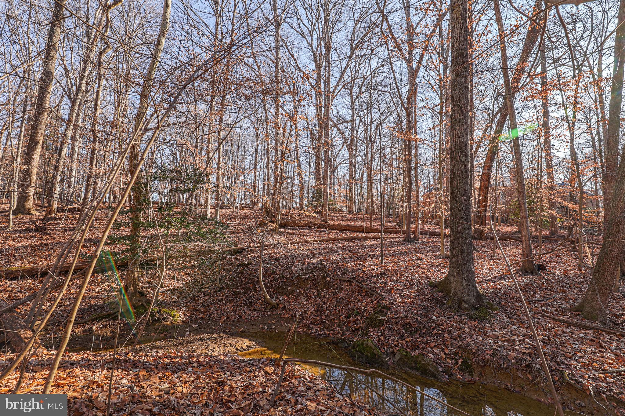 10604 Willowbrook Drive Potomac, MD 20854 - Photo 7 of 16