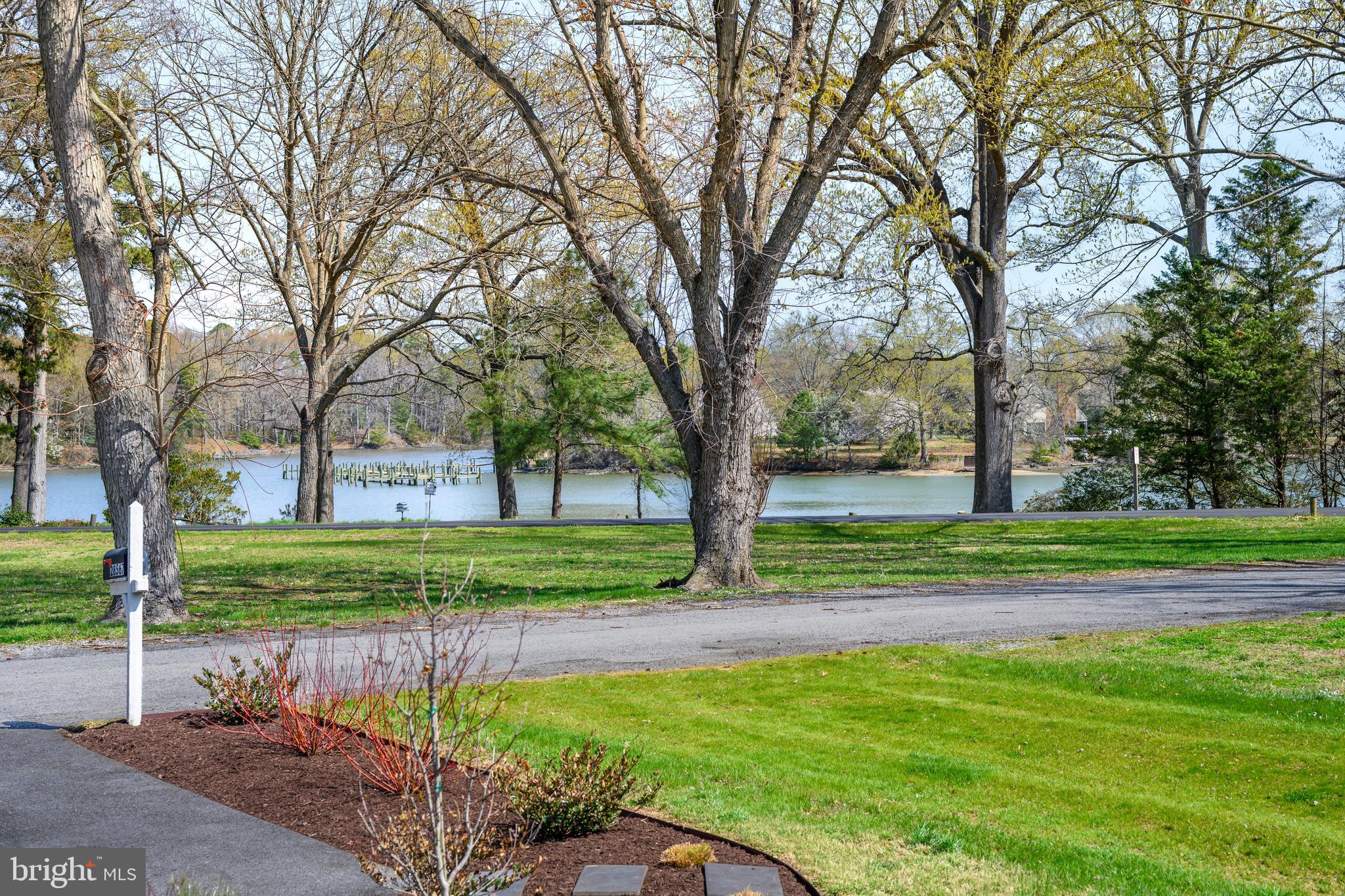 28567 Holden Road Easton, MD 21601 - Photo 11 of 45 a view of backyard with green space