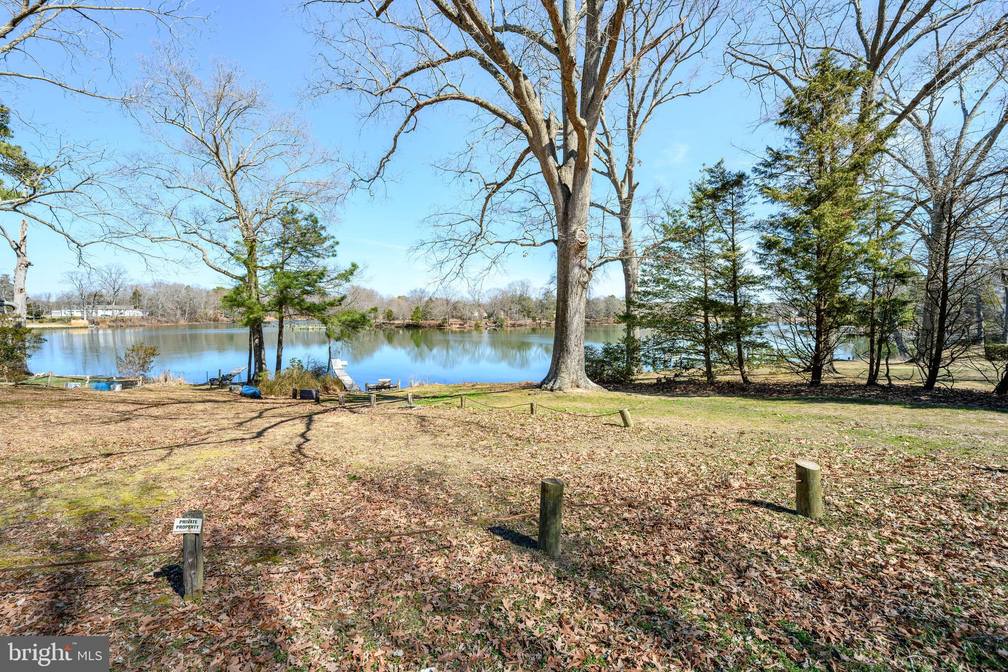 28567 Holden Road Easton, MD 21601 - Photo 7 of 45 a view of a yard with a tree