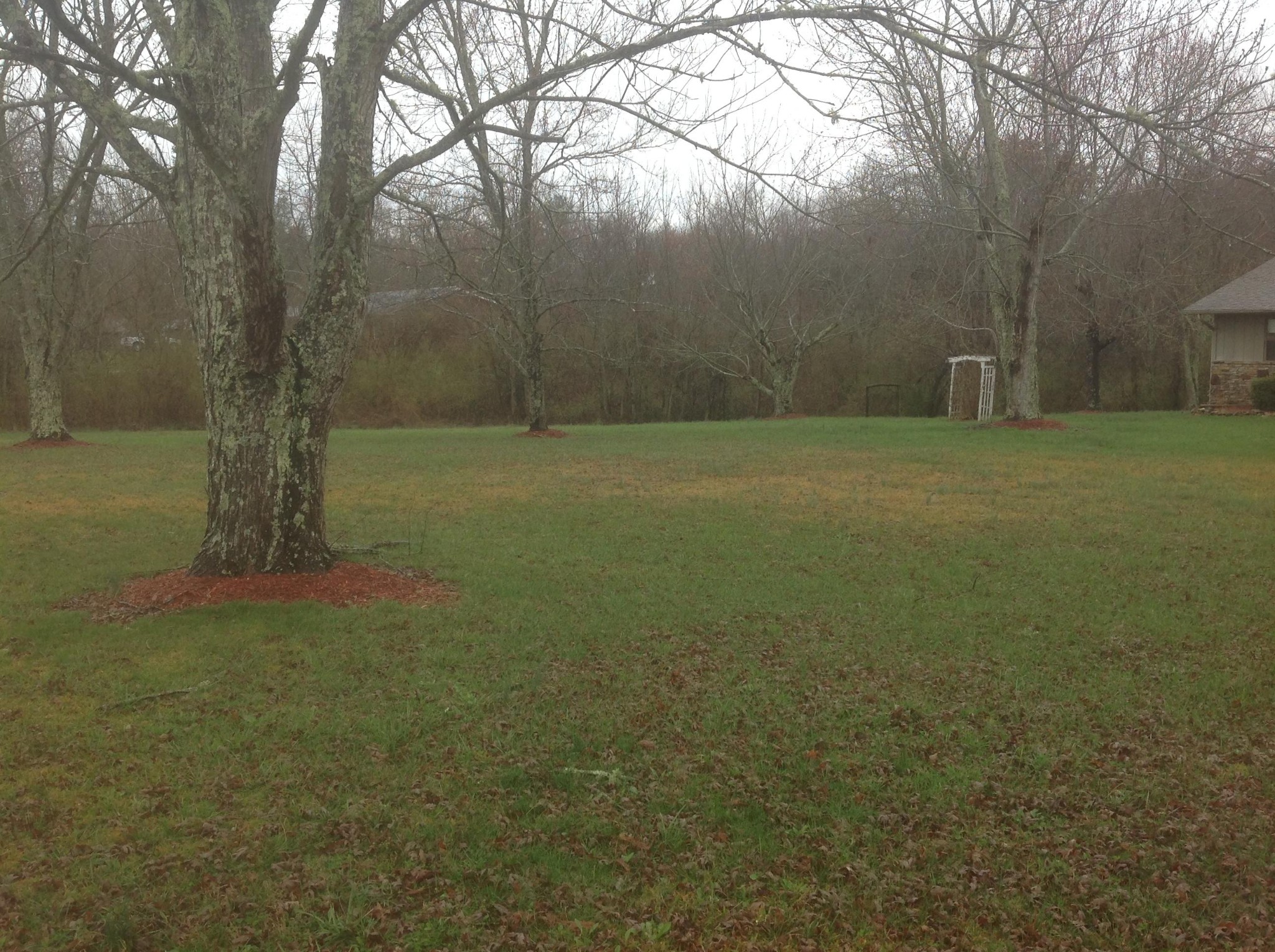 703 Deep Draw Road Crossville, TN 38555 - Photo 38 of 40 a backyard of a house with lots of green space