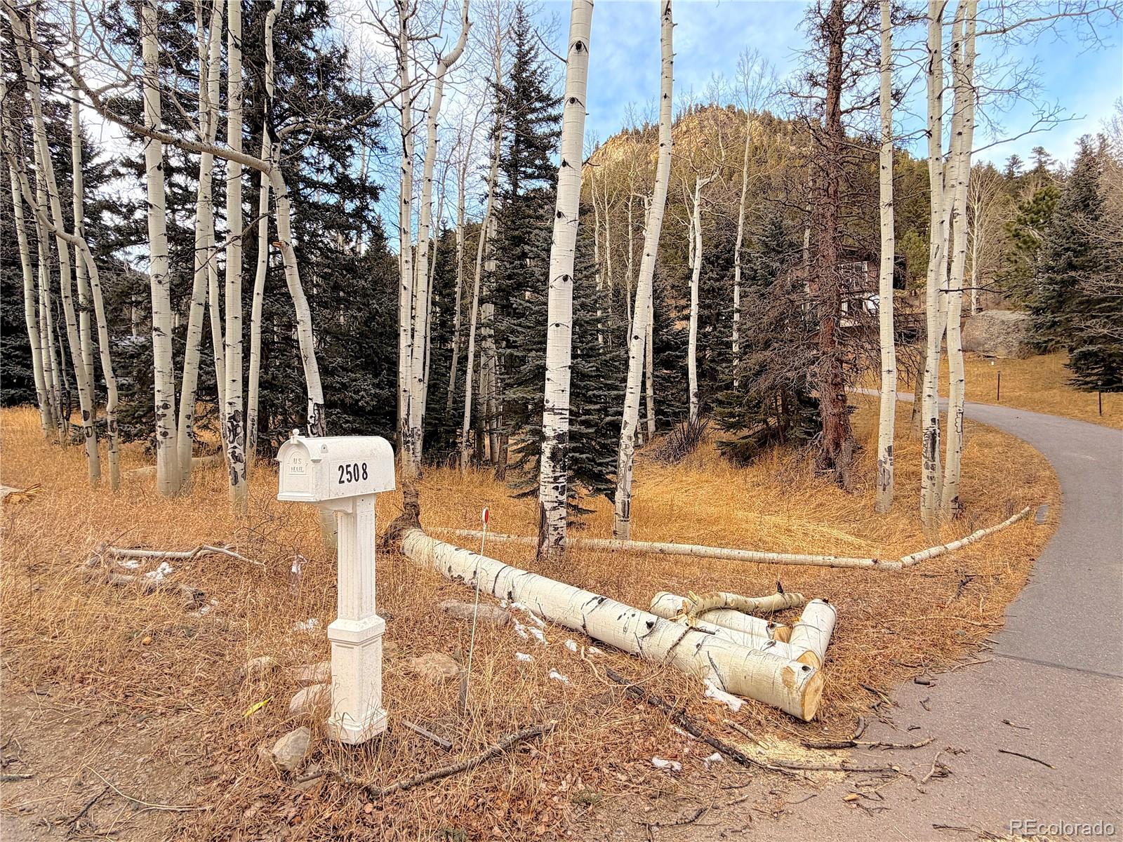 2508 Witter Gulch Road Evergreen, CO 80439 - Photo 2 of 47 a view of a outdoor space