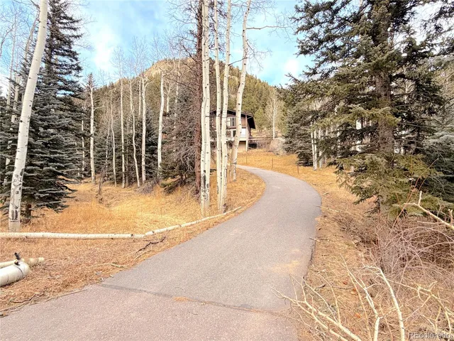 a view of back yard of the house