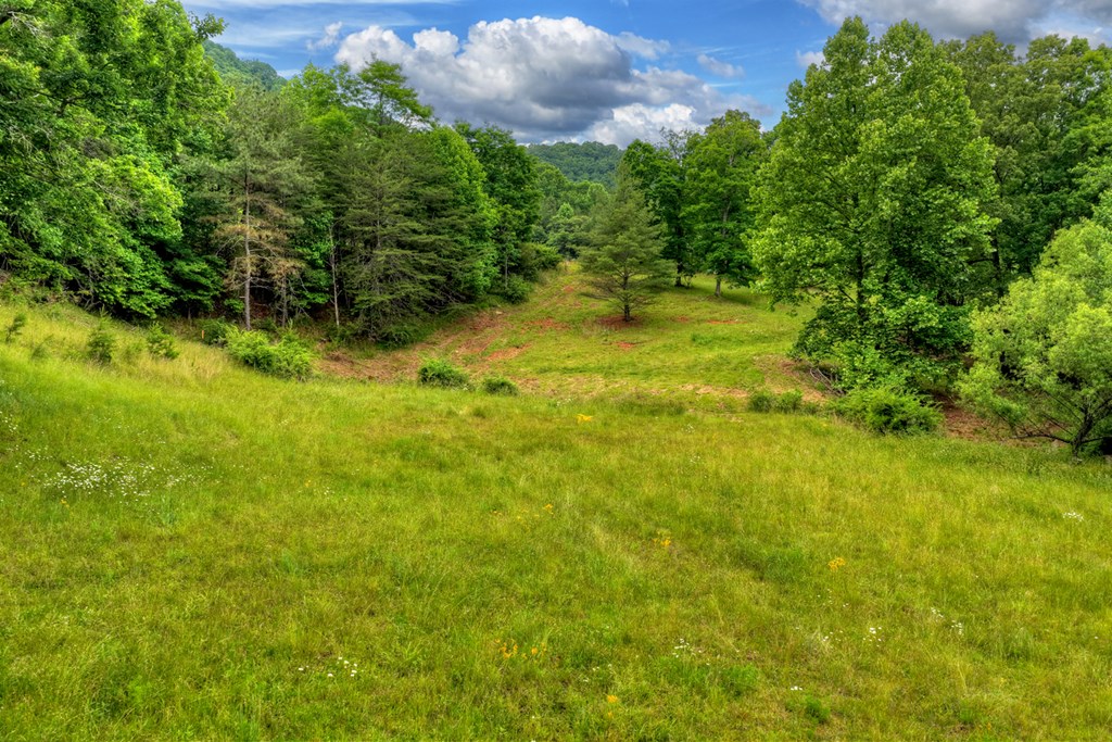 20.11 Mountain View Road McCaysville, GA 30555 - Photo 45 of 51
