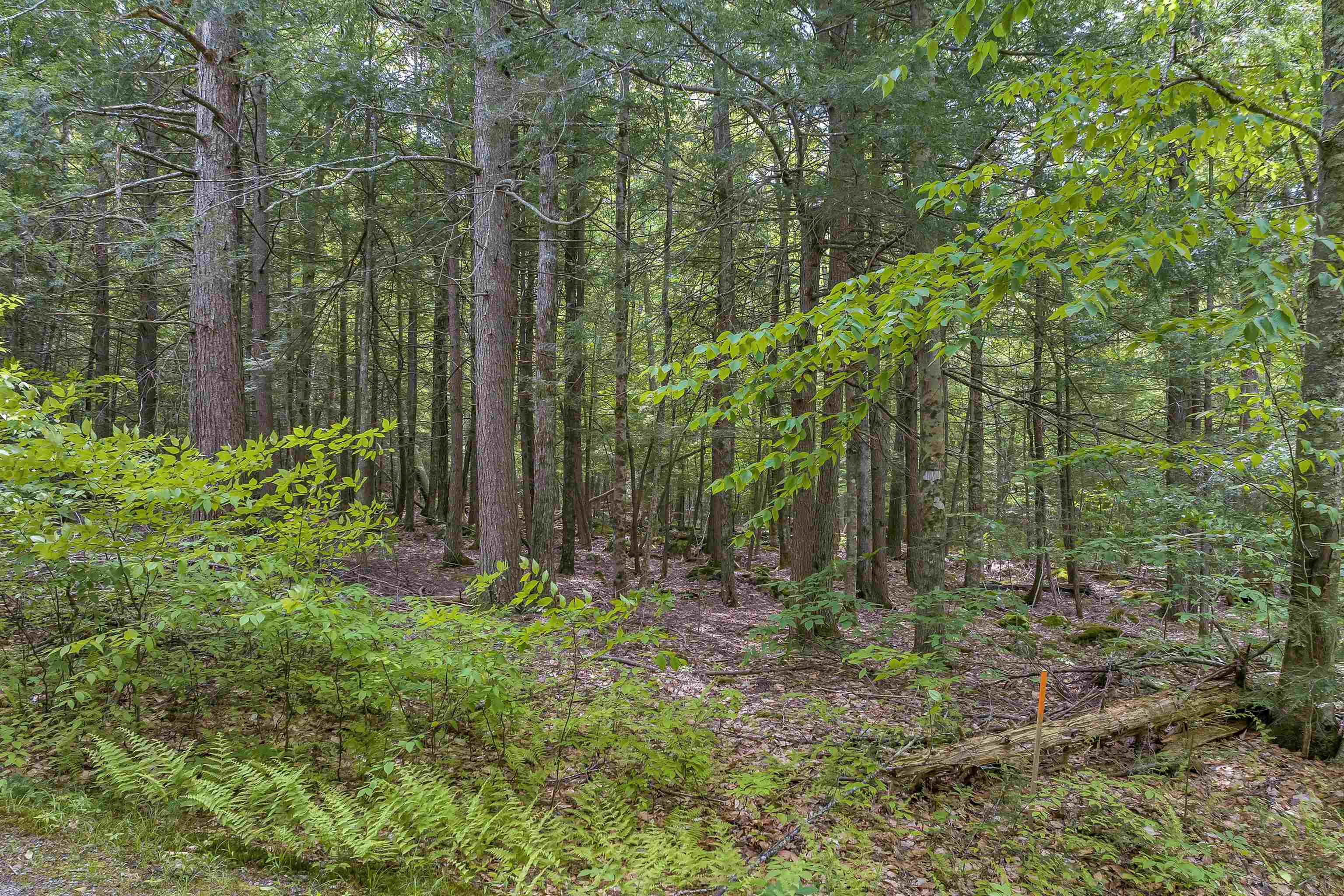 112 Map New Durham, NH 03855 - Photo 4 of 20