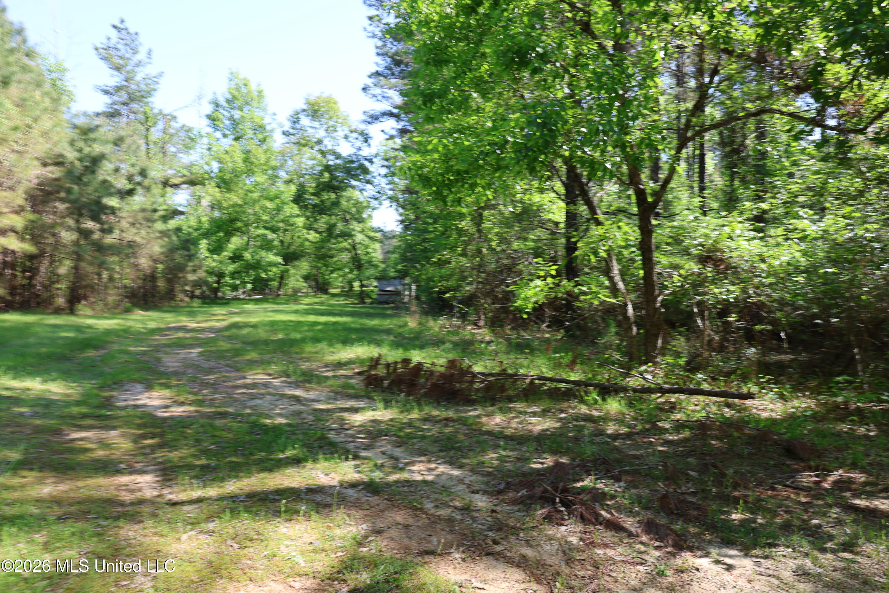 1060 Pearline Bailey Rd Port Port Gibson, MS 39150 - Photo 27 of 63 34D9A78E-E776-446A-ADC7-5235DDB75A1F