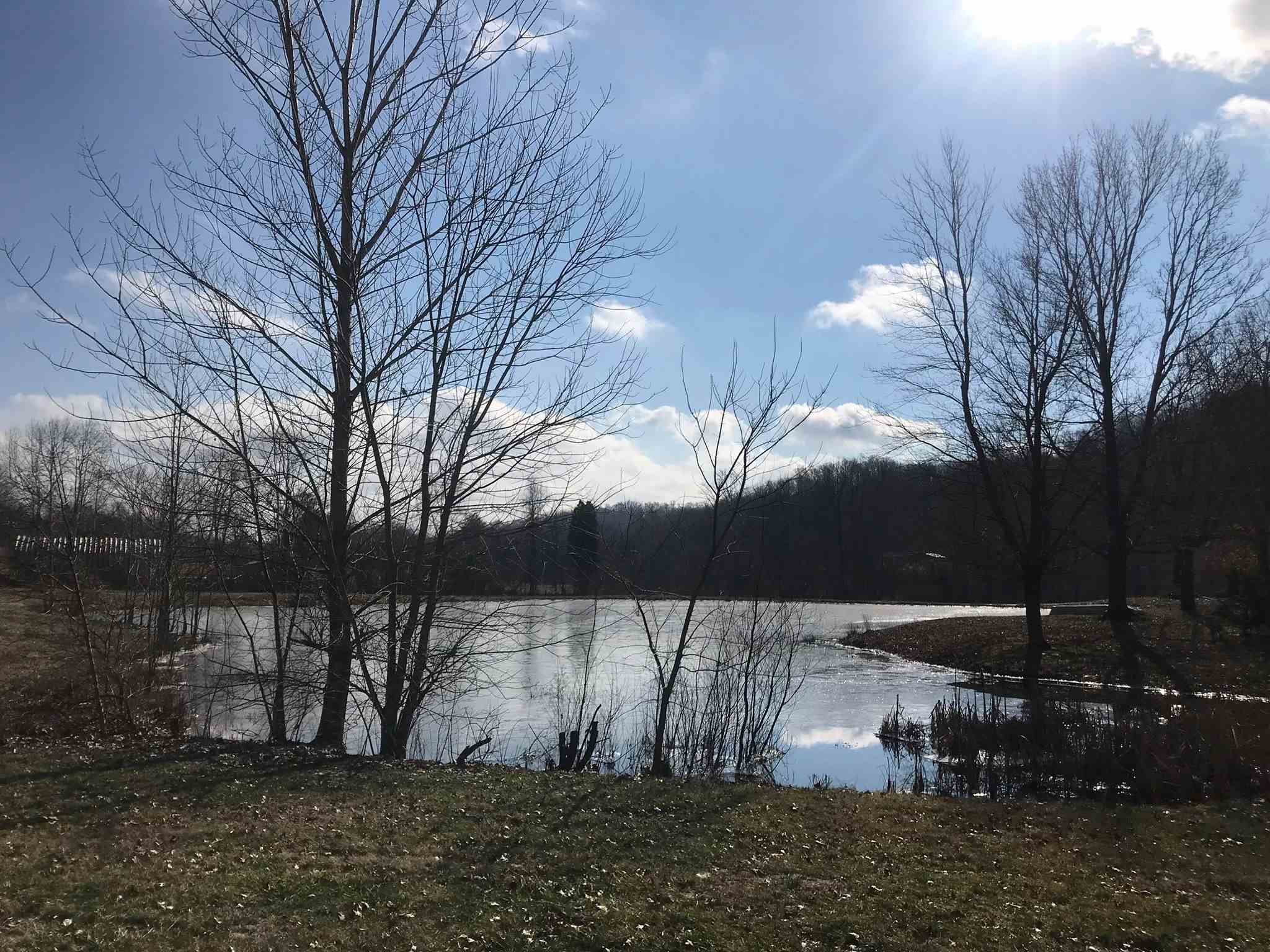 5975 Sheena Road Cannelton, IN 47520 - Photo 6 of 28
