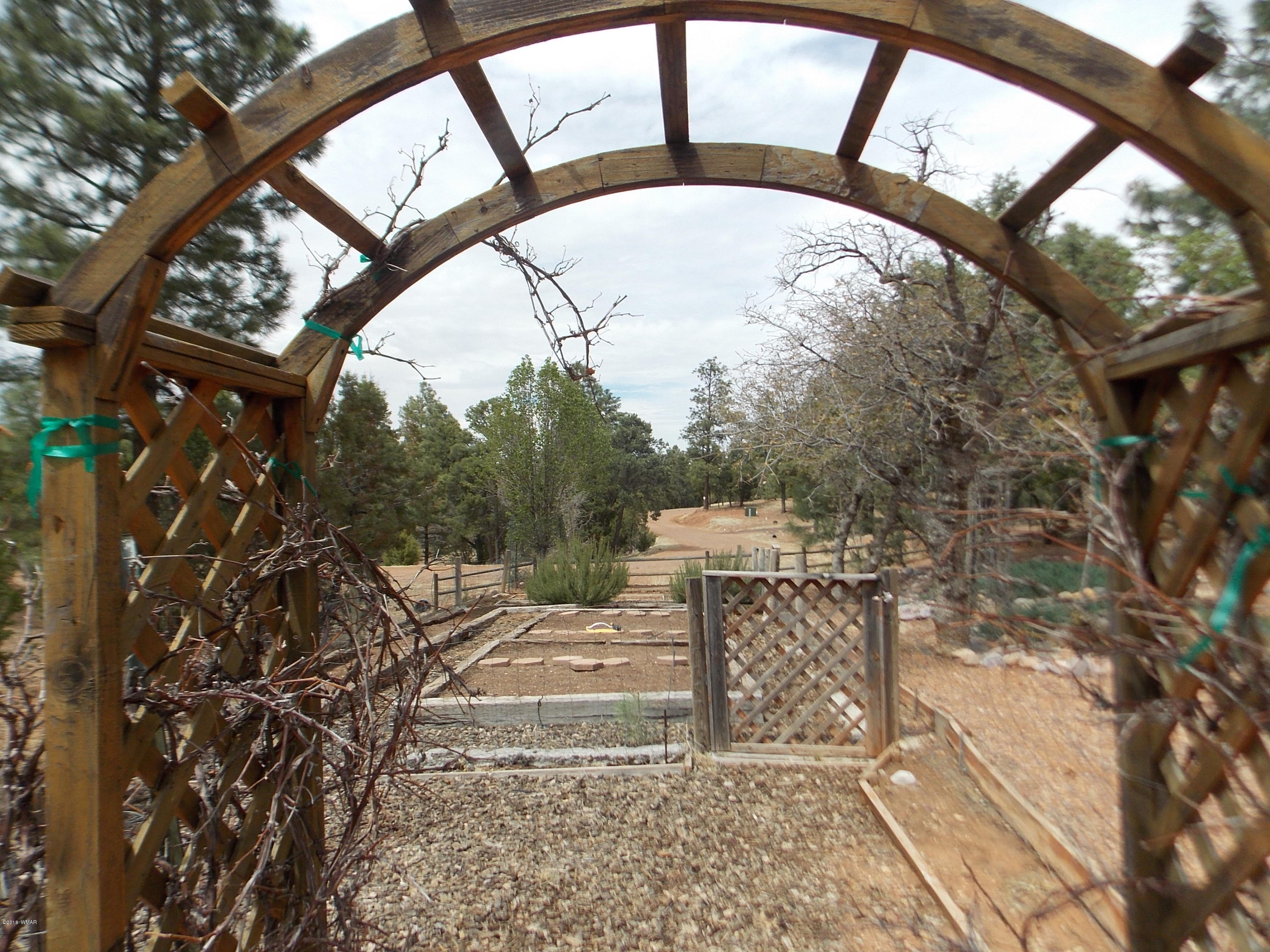 2296 Sunrise Road Overgaard, AZ 85933 - Photo 53 of 66 a view of outdoor space yard and patio