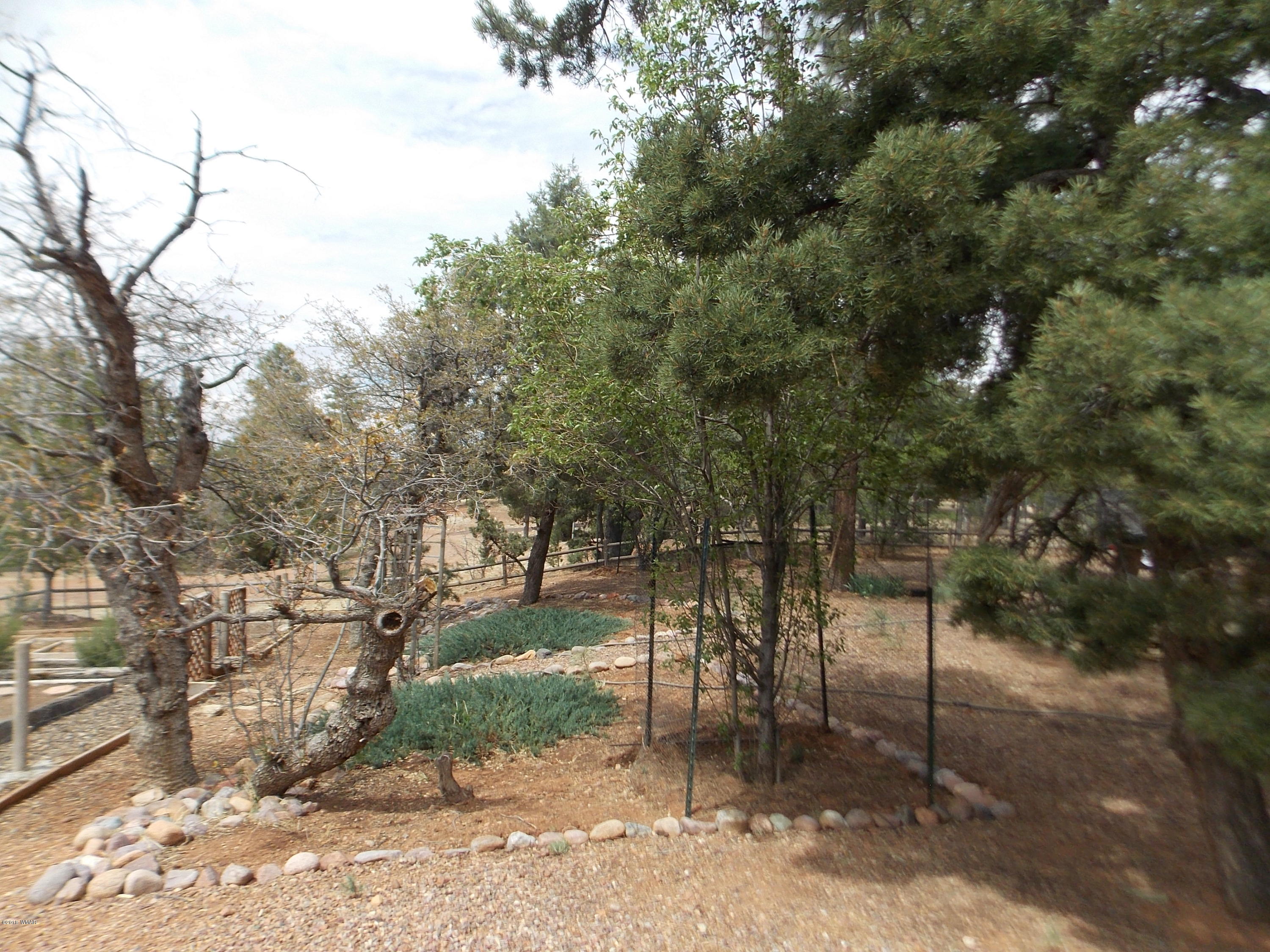 2296 Sunrise Road Overgaard, AZ 85933 - Photo 54 of 66 a view of a forest filled with trees