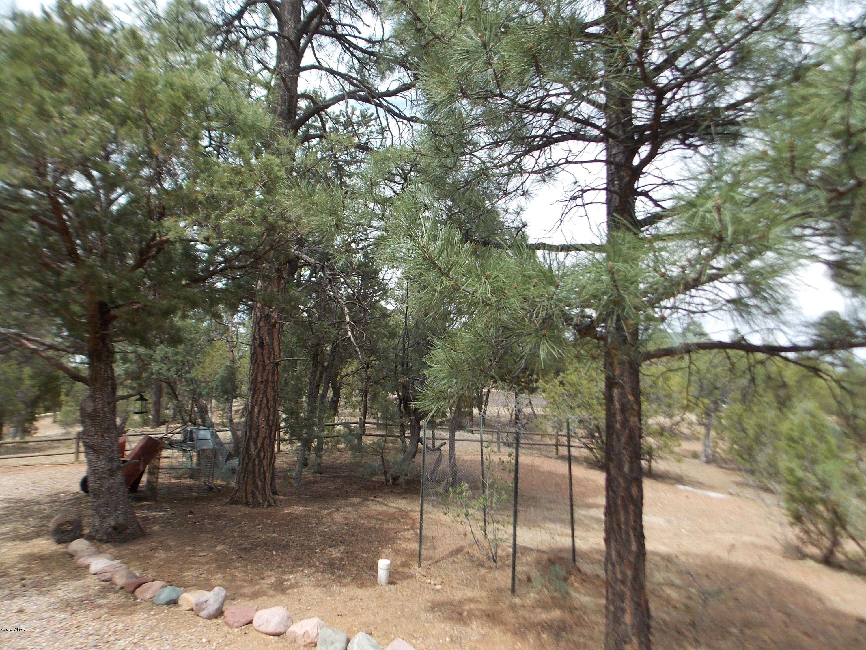 2296 Sunrise Road Overgaard, AZ 85933 - Photo 58 of 66 a view of a forest filled with trees