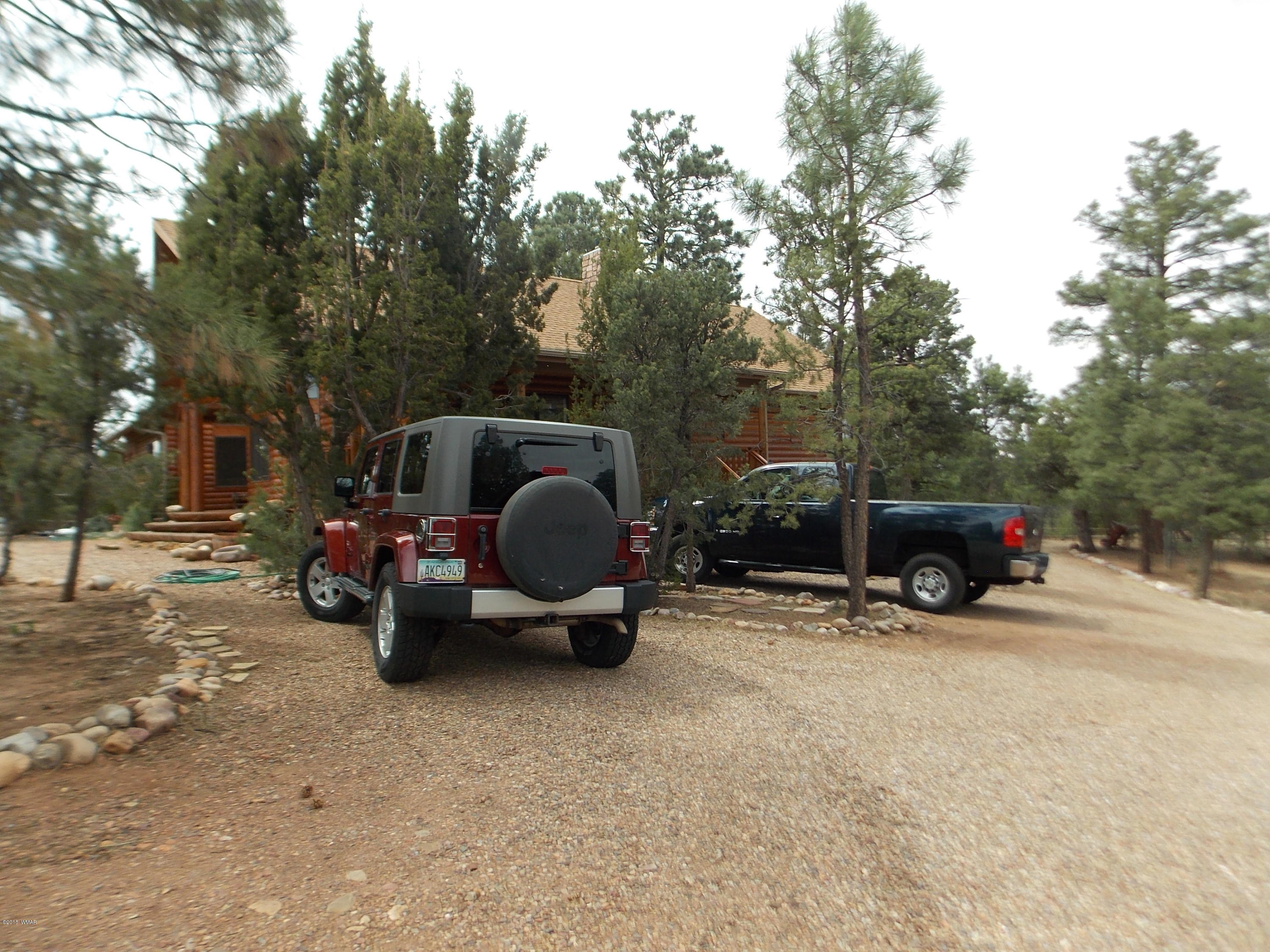 2296 Sunrise Road Overgaard, AZ 85933 - Photo 60 of 66