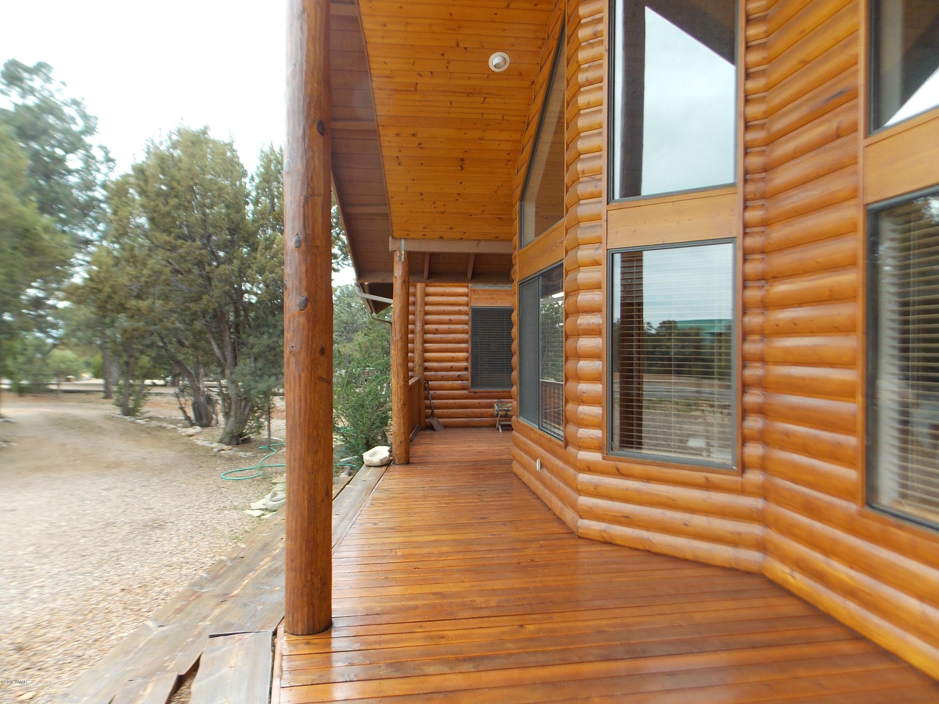 2296 Sunrise Road Overgaard, AZ 85933 - Photo 63 of 66