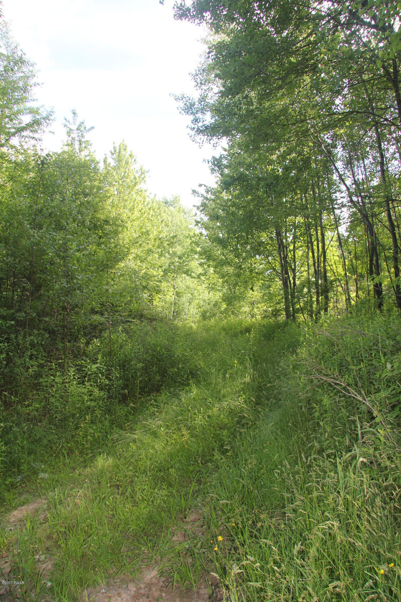 Curtis Pond Road Waymart, PA 18472 - Photo 5 of 7