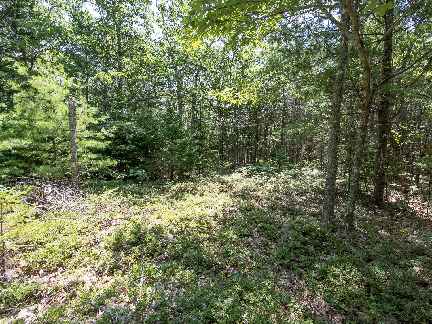 82 Sweet Fern Road Bar Harbor, ME 04609 - Photo 10 of 11 Sweet Fern Land
