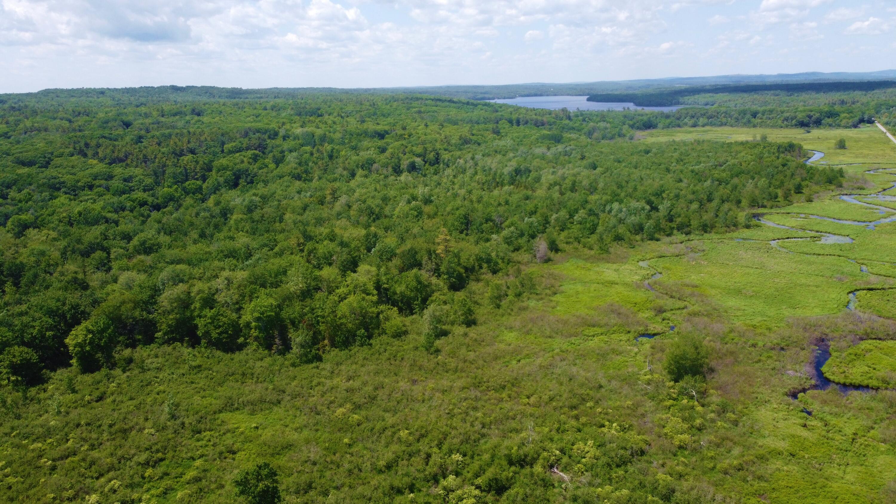 South Pond in the distance