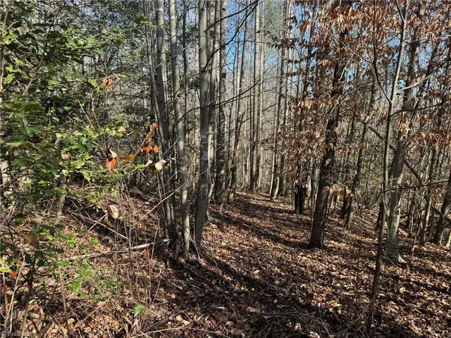 $280,000 | 1 Rock Creek Church Road, North Wilkesboro, NC 28659