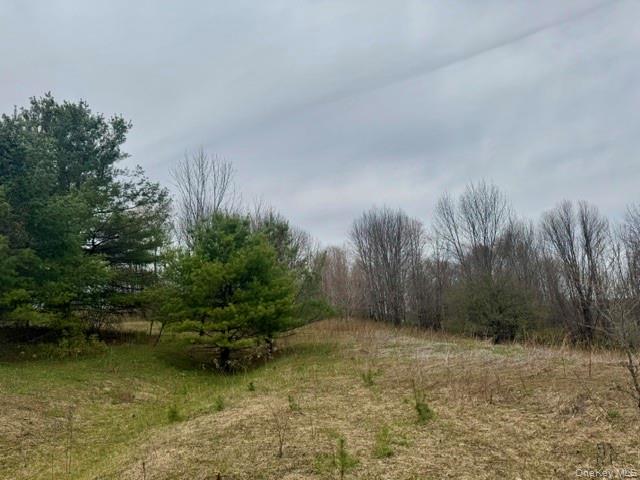 Lot 4 Shaver Hill Road Meridale, NY 13806 - Photo 40 of 45 Gallery Image 40