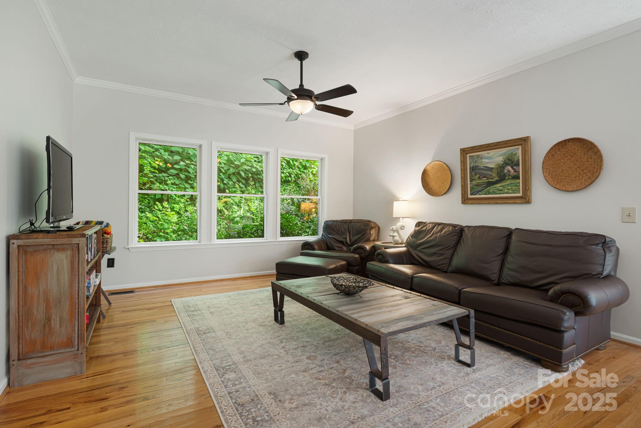 28 Back Stage Pass Leicester, NC 28748 - Photo 12 of 48 a living room with furniture and a flat screen tv