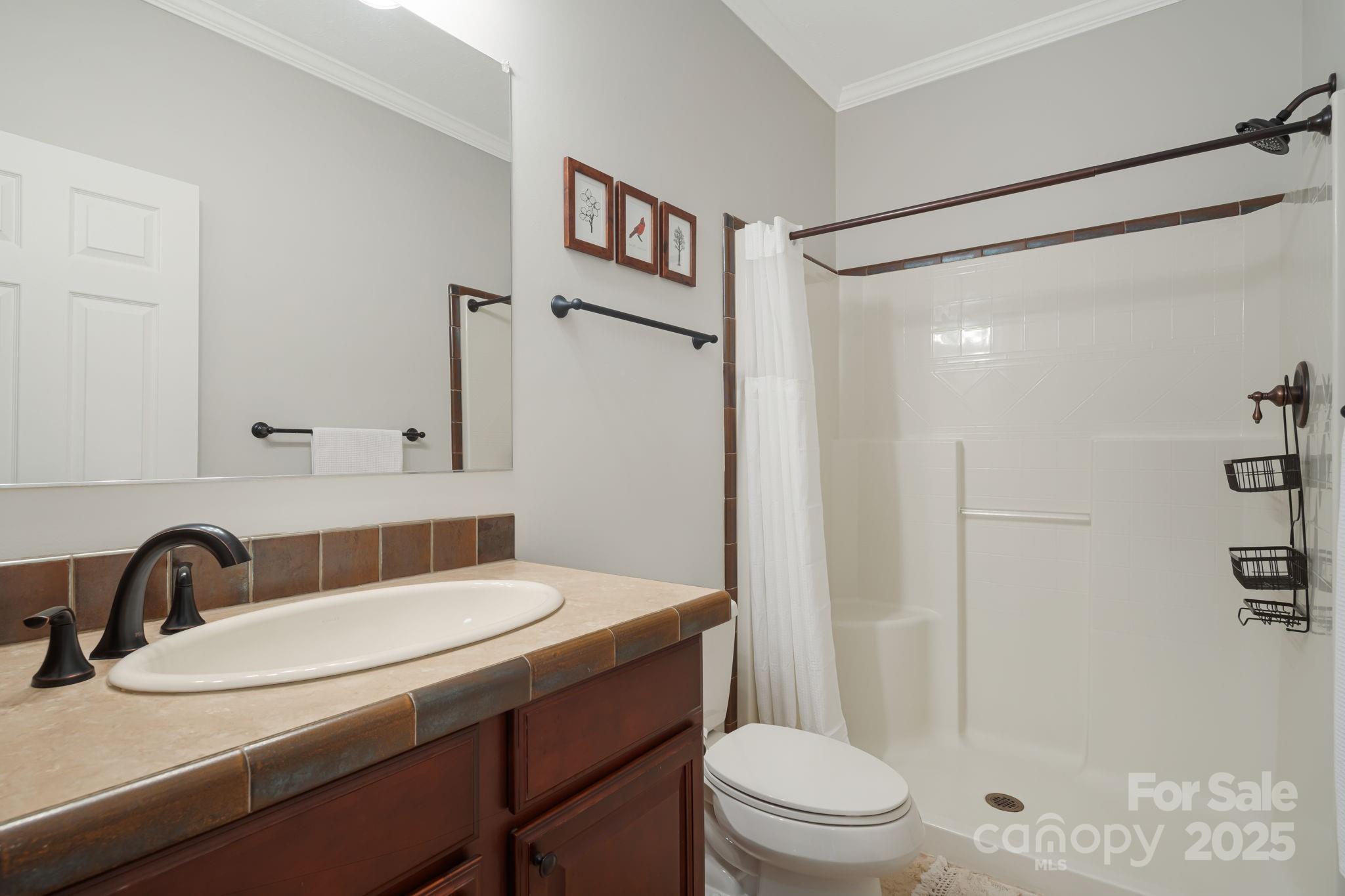 28 Back Stage Pass Leicester, NC 28748 - Photo 30 of 48 a bathroom with a sink toilet and shower