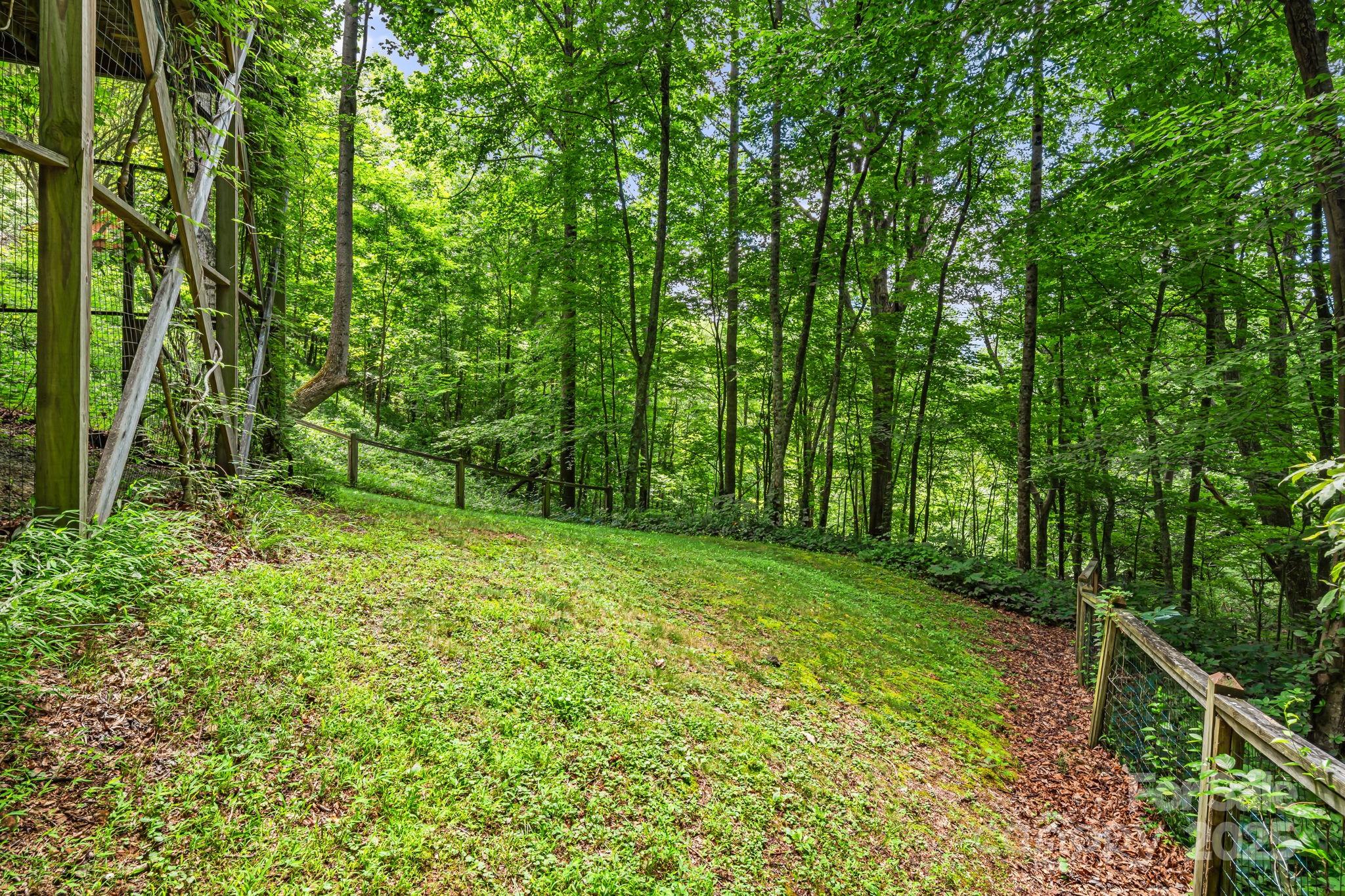 28 Back Stage Pass Leicester, NC 28748 - Photo 38 of 48 a view of yard with green space