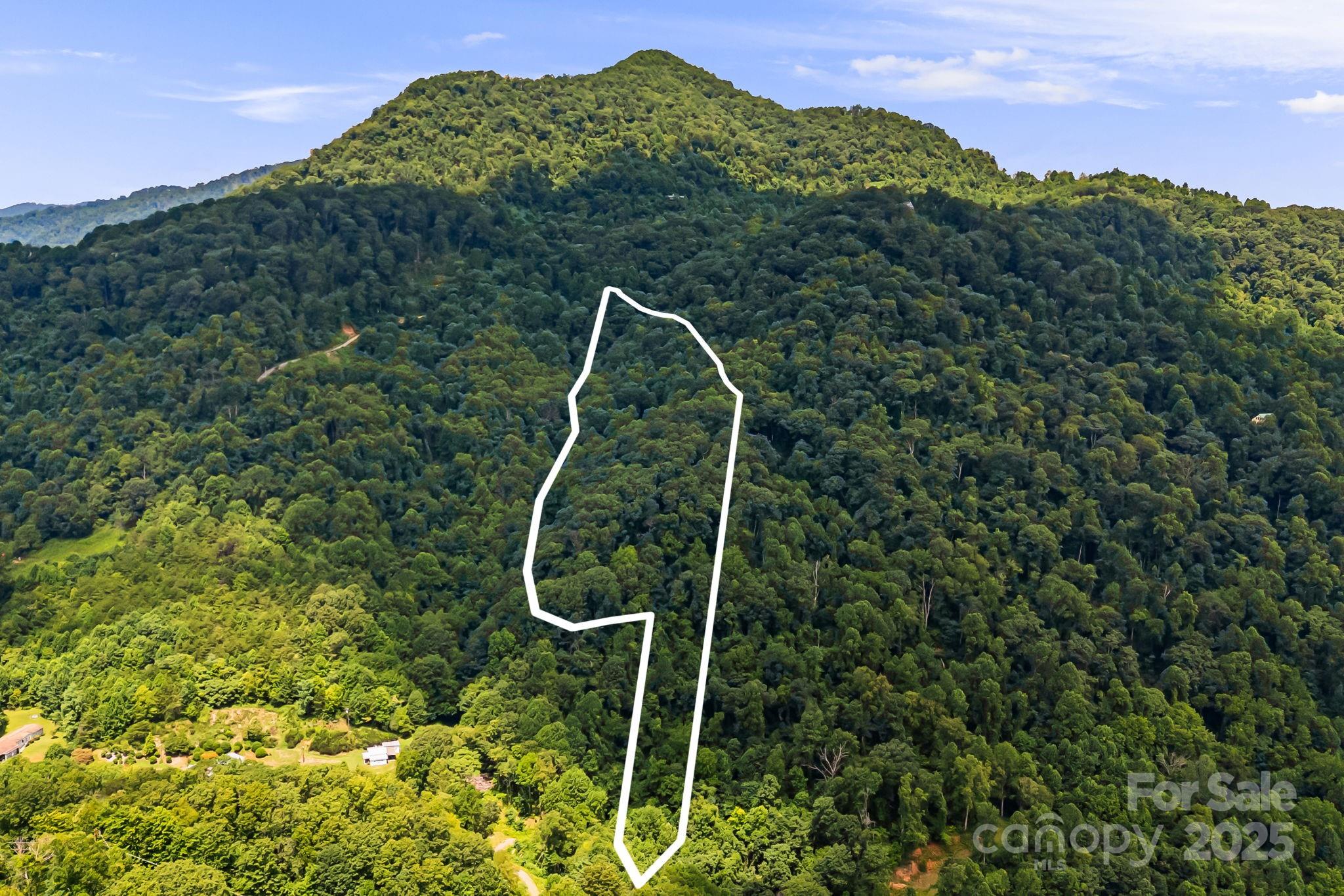 28 Back Stage Pass Leicester, NC 28748 - Photo 44 of 48 a view of a yard with a tree